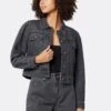 Joie Aubryn Denim Jacket