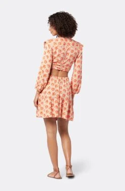 Joie Maeve Mini Dress 12 Joie Maeve Mini Dress -Joie Fashion Outlet Store D0024A9364 BVRM 5