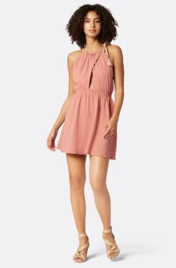 Joie Eve Mini Cotton Dress