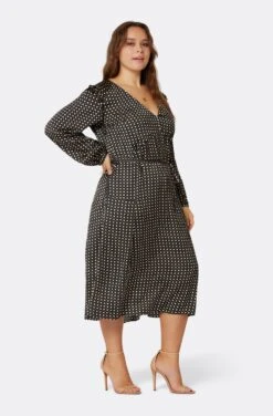 Joie Kailey Midi Dress -Joie Fashion Outlet Store D0059X09304 CCBE 3