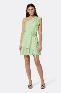 Joie Fashion Outlet Store 9 Joie Nerea Mini Dress