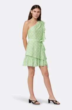 Joie Nerea Mini Dress -Joie Fashion Outlet Store D0108A9374 QGPN 3