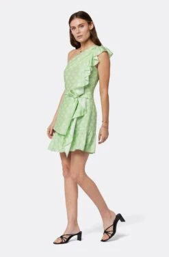 Joie Nerea Mini Dress -Joie Fashion Outlet Store D0108A9374 QGPN 4