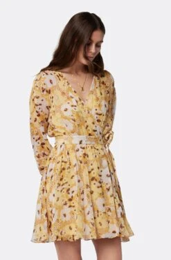 Joie Clara Mini Silk Dress