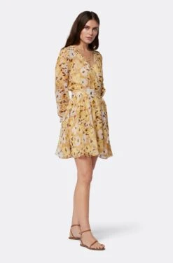 Joie Clara Mini Silk Dress -Joie Fashion Outlet Store D0109A9368 AGLM 3