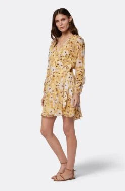 Joie Clara Mini Silk Dress -Joie Fashion Outlet Store D0109A9368 AGLM 4
