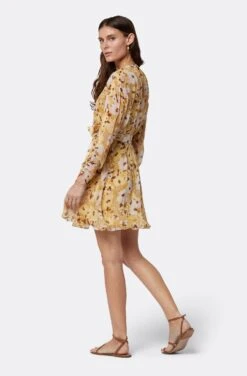 Joie Clara Mini Silk Dress -Joie Fashion Outlet Store D0109A9368 AGLM 5