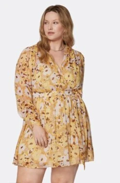 Joie Clara Mini Silk Dress -Joie Fashion Outlet Store D0109X9368 AGLM 2