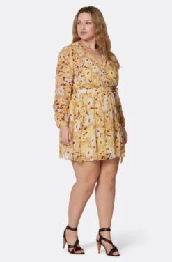 Joie Clara Mini Silk Dress -Joie Fashion Outlet Store D0109X9368 AGLM 3