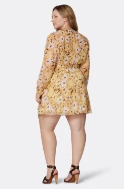 Joie Clara Mini Silk Dress -Joie Fashion Outlet Store D0109X9368 AGLM 5