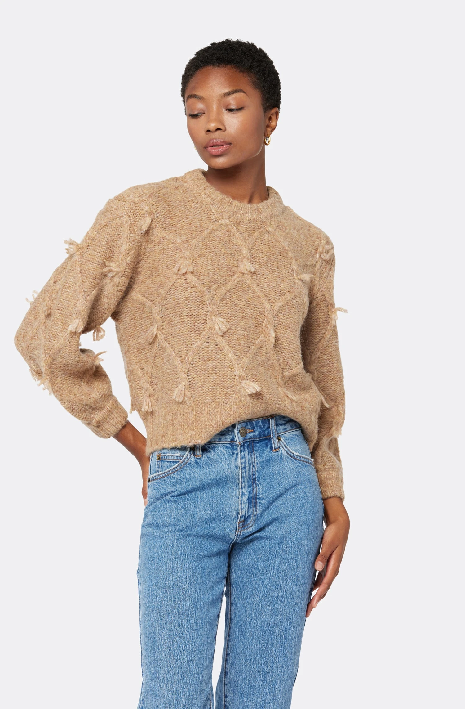 Joie Boden Crew Neck Sweater 1 Joie Boden Crew Neck Sweater