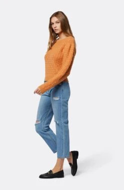 Joie Roland Crew Neck Sweater 11 Joie Roland Crew Neck Sweater -Joie Fashion Outlet Store K0014YB63T HECA 4