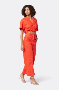 Joie Iris Short Sleeve Cotton Top 10 Joie Iris Short Sleeve Cotton Top -Joie Fashion Outlet Store T0054F2536 VBRD 3